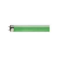 Philips G13 T8 TL-buis |  36W 4300lm   | 1210mm Groen